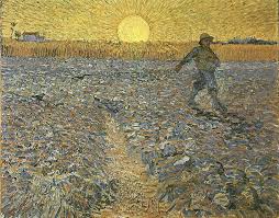 sowing