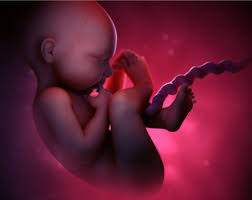 baby2