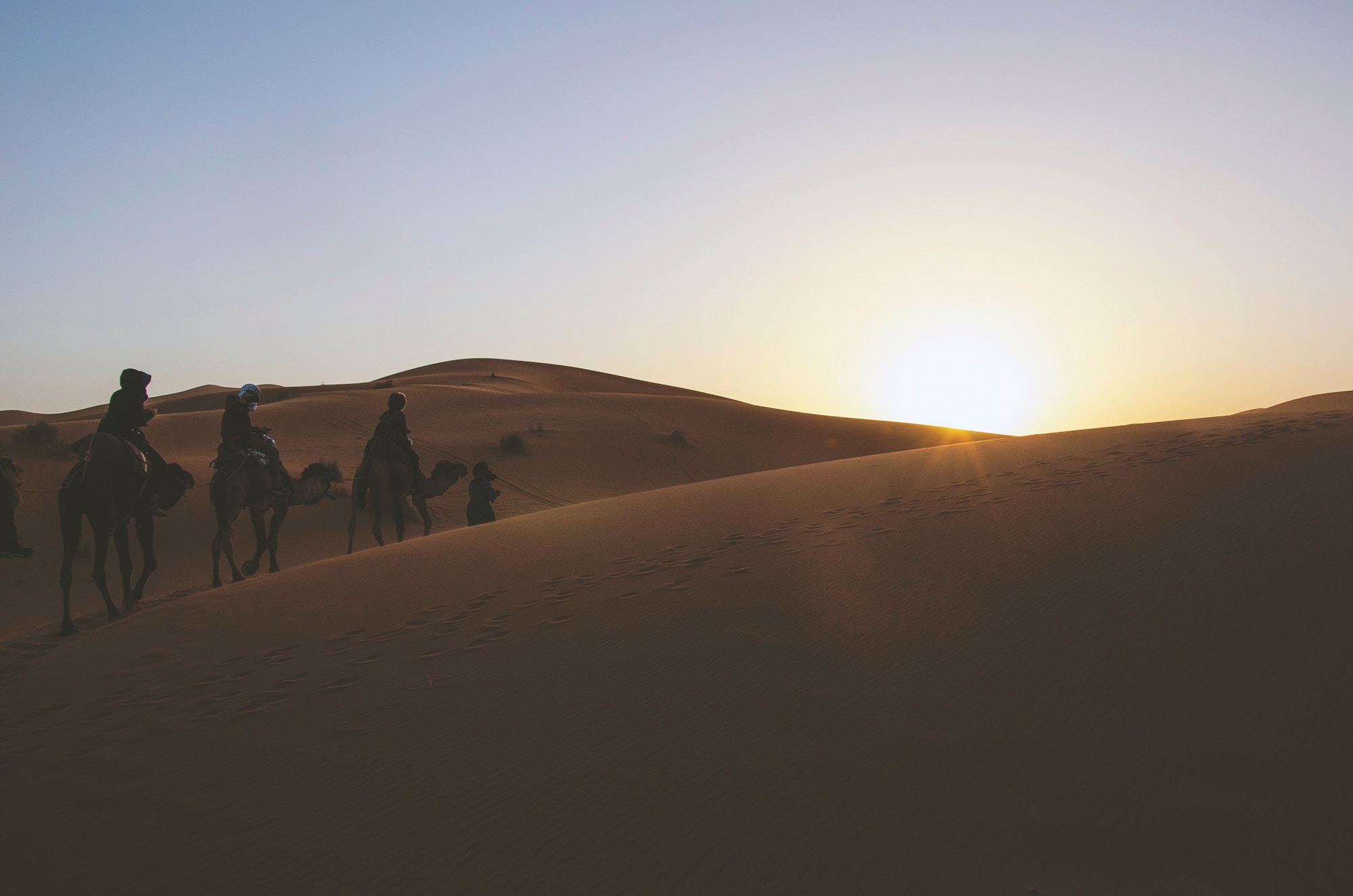 sylwia-bartyzel-9217-unsplash