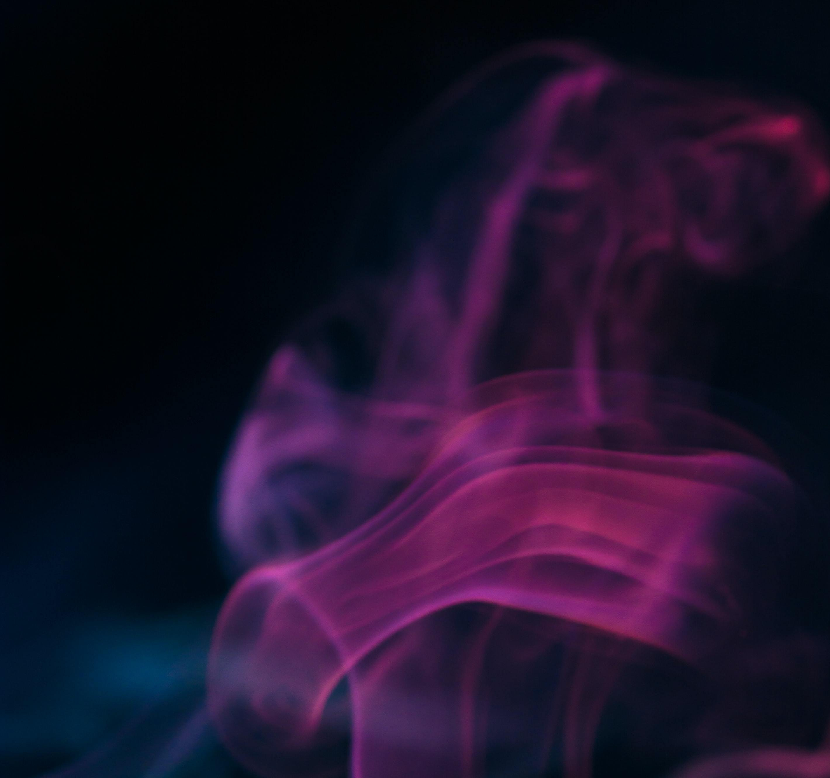 alexandru-bogdan-ghita-javr3cmXbSE-unsplash