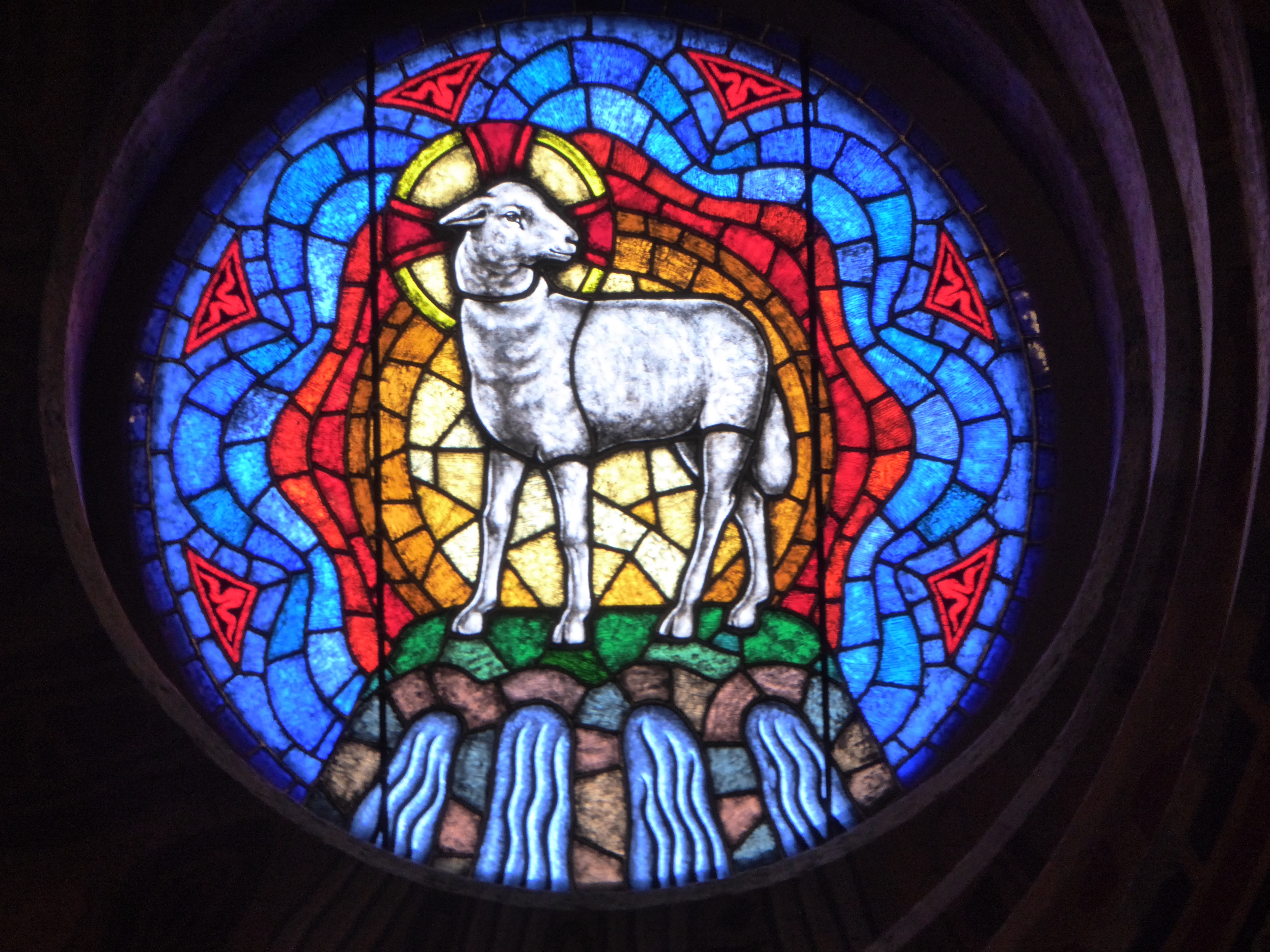 steve-sharp-DmM6NQcavuI-unsplash