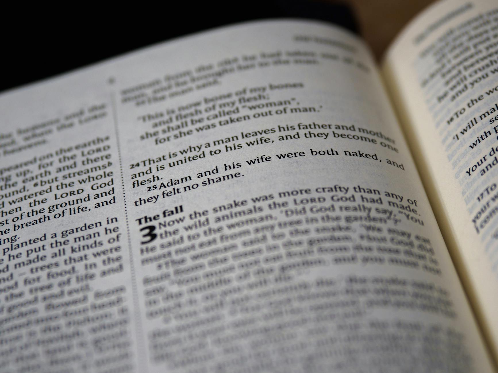 close up photo of bible