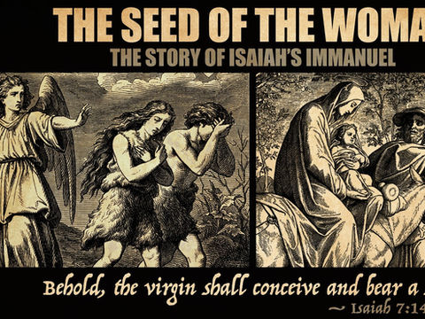 The Seed of The Woman The Story of Isaiah s Immanuel